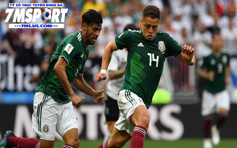 Mexico được đánh giá là đội bóng có trình độ chuyên môn cao Mexico được đánh giá là đội bóng có trình độ chuyên môn cao