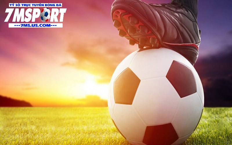 Thực tế có rất nhiều cách để thành viên nhận biết kèo châu Á Thực tế có rất nhiều cách để thành viên nhận biết kèo châu Á